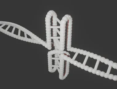 Image2